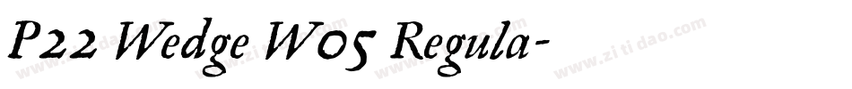 P22 Wedge W05 Regula字体转换